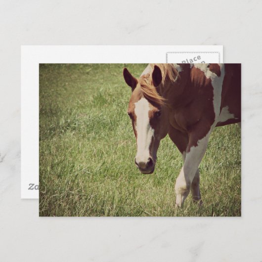 Carte Postale clinquant (Devant / Derrière)