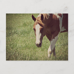 Carte Postale clinquant