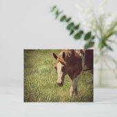 Carte Postale clinquant (Debout devant)