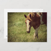 Carte Postale clinquant (Devant / Derrière)