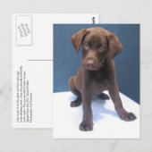 Carte Postale Clint (Devant / Derrière)