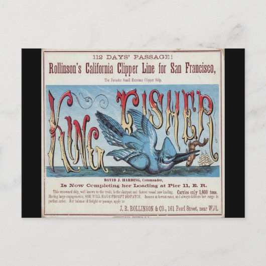 Carte Postale Clipper King Fisher voile  (Devant)