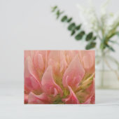Carte Postale Clocher rose (Debout devant)