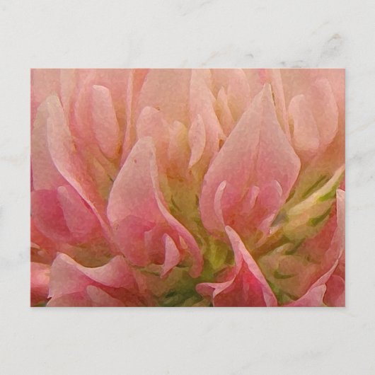 Carte Postale Clocher rose (Devant)