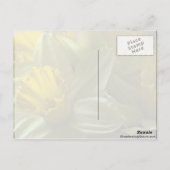 Carte Postale Cloches Sur Les Lames Feuille (Dos)