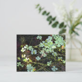 Carte Postale Cloison d'eau (Debout devant)