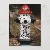 Carte Postale Close-up of Fire Hydrant (Devant)