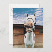 Carte Postale Close-up of Horse with Mouth Open (Devant / Derrière)
