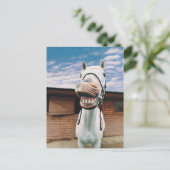Carte Postale Close-up of Horse with Mouth Open (Debout devant)