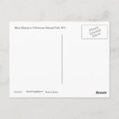 Carte postale Closeup Bison (Dos)