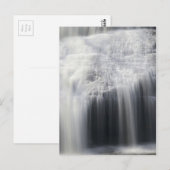 Carte Postale Closeup de Dingmans Falls (Devant / Derrière)