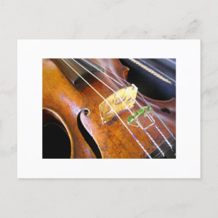 Carte Postale Closeup de violon