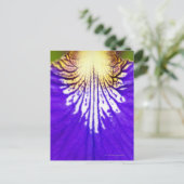 Carte Postale Closeup du fleur sauvage, drapeau bleu Iris (Iris (Debout devant)