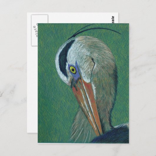 Carte Postale Closeup Heron (Devant / Derrière)