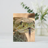 Carte Postale Closeuse de crotale (Debout devant)