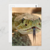 Carte Postale Closeuse de crotale (Devant / Derrière)