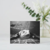 Carte Postale Closeuse de la tortue de mer (Debout devant)