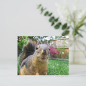 Carte Postale Closeuse d'écureuil (Debout devant)