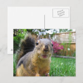 Carte Postale Closeuse d'écureuil (Devant / Derrière)