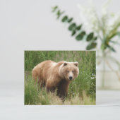 Carte Postale Closeuse d'ours, Brooks Falls Alaska (Debout devant)