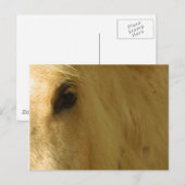 Carte Postale Closeuse du cheval blanc (Devant / Derrière)