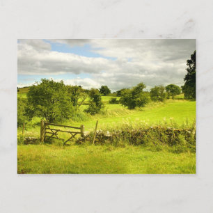 Carte Postale Clôture, champs et Meadowsweet