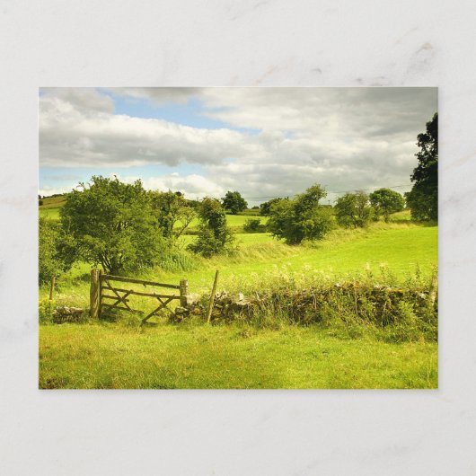 Carte Postale Clôture, champs et Meadowsweet (Devant)