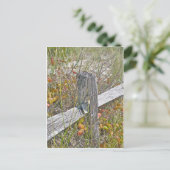 Carte Postale Clôture et poison Ivy IBSP NJ Éléments de coordina (Debout devant)