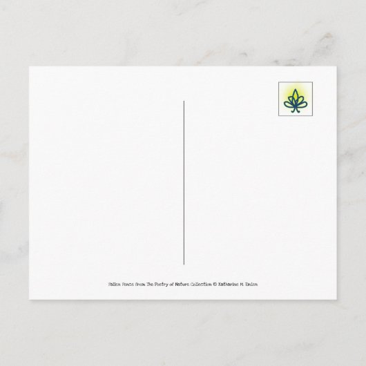 Carte Postale Clôture tombée recouverte de rosée, Spider Web (Dos)