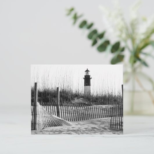 Carte Postale Clôtures De Plage Et Phare (Debout devant)