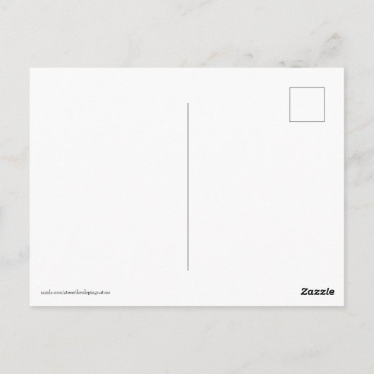 Carte Postale Cloud Maker (Dos)