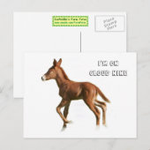 Carte postale Cloud Nine (Devant / Derrière)