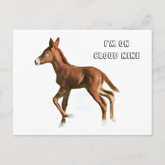 Carte postale Cloud Nine (Devant)