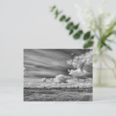 Carte Postale Clouds de rattrapage (B&W) (Debout devant)