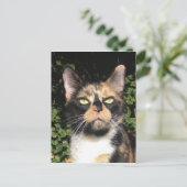 Carte Postale Clover le Calico (Debout devant)