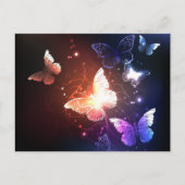 Carte Postale Clowing Night Butterflies (Devant)