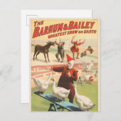 Carte Postale Clowns Avec Oies, Coqs Et Âne. (Devant / Derrière)