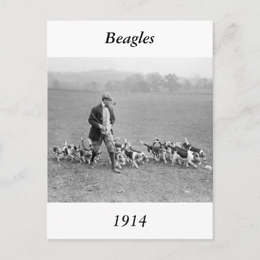 Carte Postale Club beagle, 1914 (Devant)