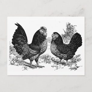 Carte Postale Club d'Anver