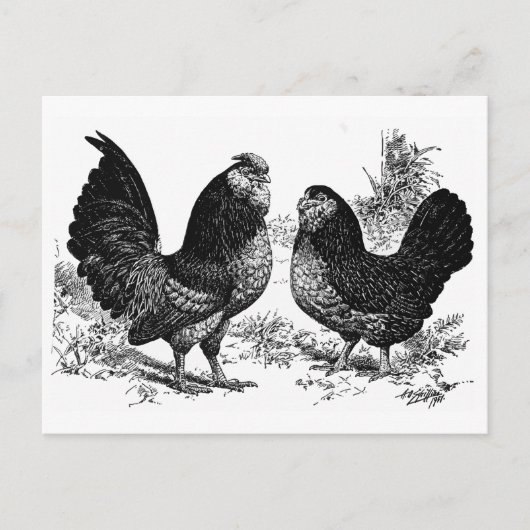 Carte Postale Club d'Anver (Devant)