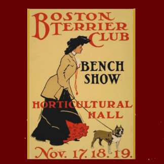 Carte Postale Club Terrier de Boston