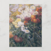 Carte Postale Clump of Chrysanthemums par Gustave Caillebotte (Devant)