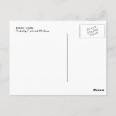 Carte Postale Cluster Azalea (Dos)