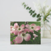 Carte Postale Cluster Dogwood (Debout devant)