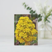 Carte Postale Clusters de fleurs jaunes (Debout devant)