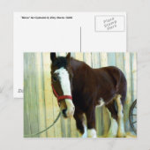 Carte Postale Clydesdale (Devant / Derrière)