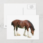 Carte Postale clydesdale (Devant / Derrière)