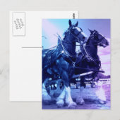 Carte postale Clydesdale (Devant / Derrière)