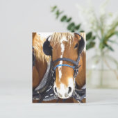 Carte postale Clydesdale Draft Hors (Debout devant)