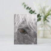 Carte postale Clydesdale Horse (Debout devant)